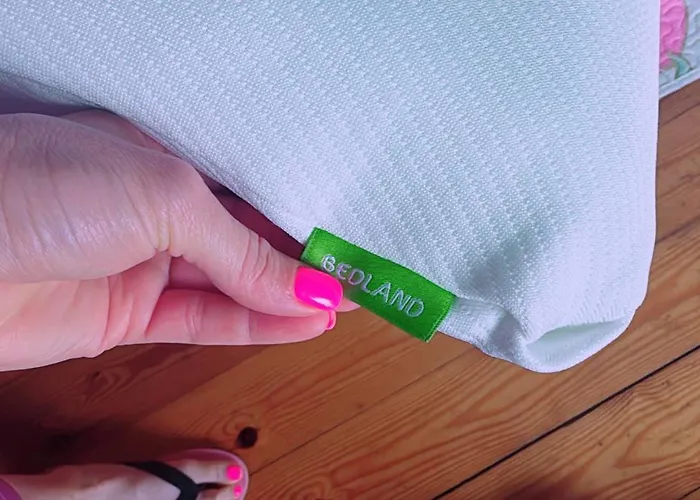 게스트하우스 Casa Albertino